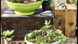 تألق الزهرة: مشاريع إبداعية يمكنك تنفيذها بنفسك لحديقتك