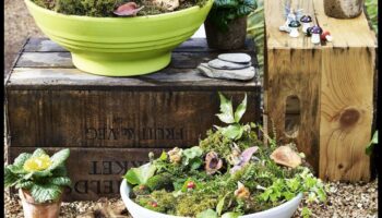 تألق الزهرة: مشاريع إبداعية يمكنك تنفيذها بنفسك لحديقتك