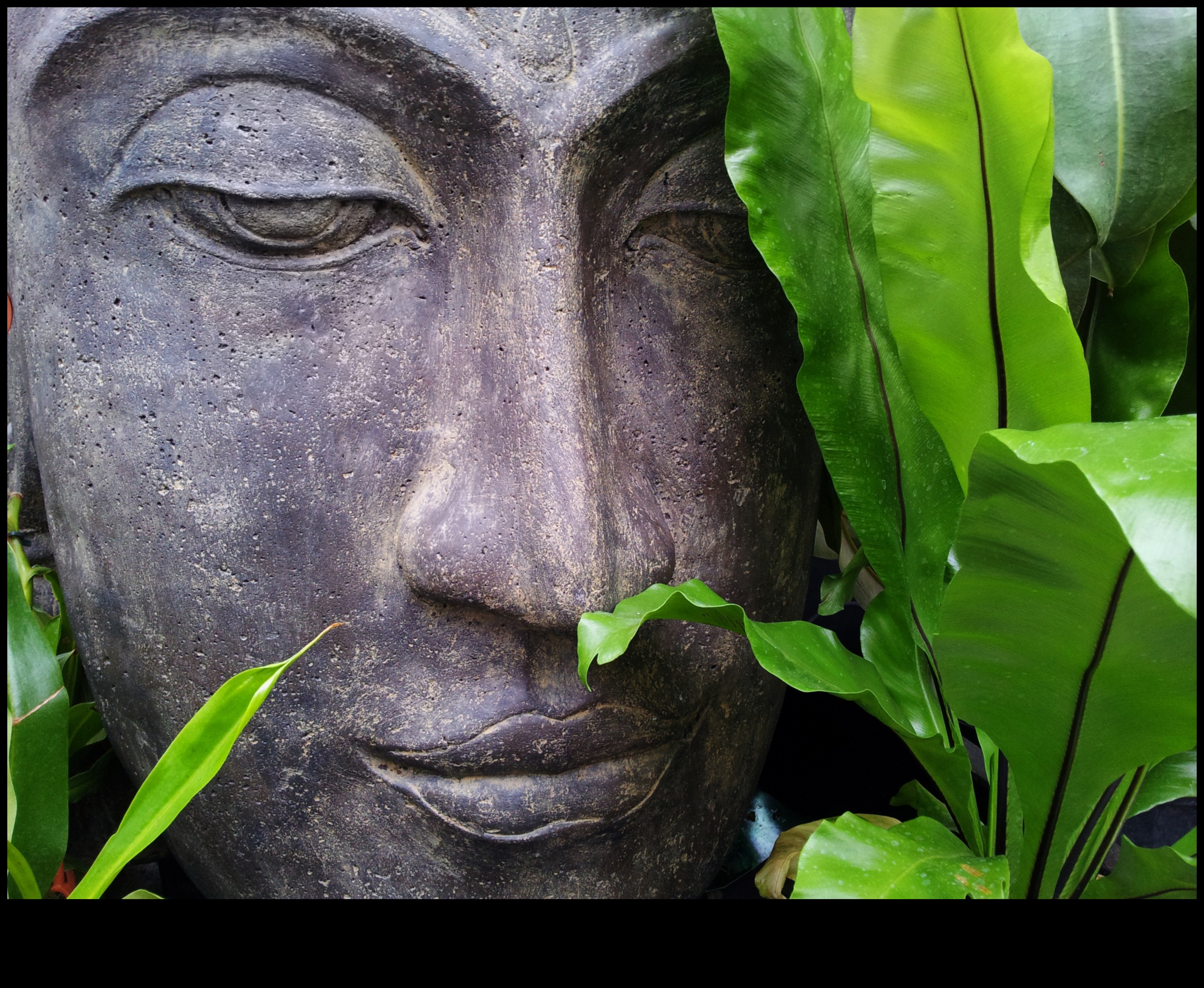 الصفاء المنحوت: إبداعات DIY لملاذ حديقة هادئ