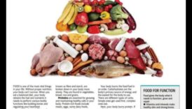 الوقود من أجل الحياة: دور التغذية في طول العمر والحيوية