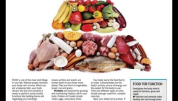 الوقود من أجل الحياة: دور التغذية في طول العمر والحيوية