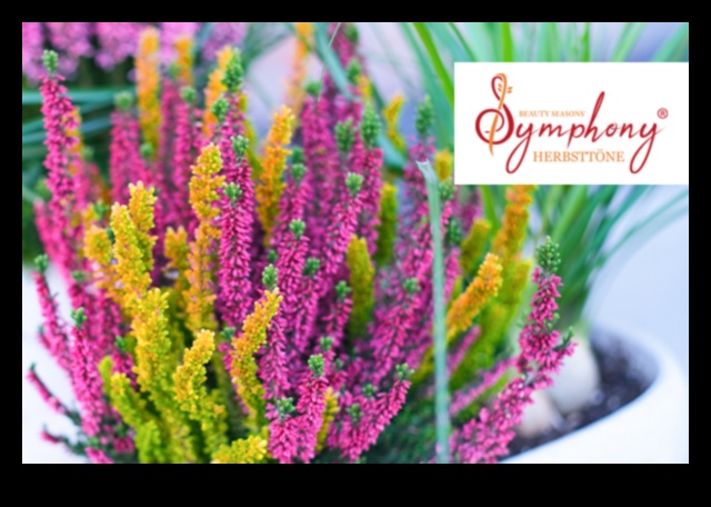 السمفونية الموسمية: جمال البستنة المتغير باستمرار