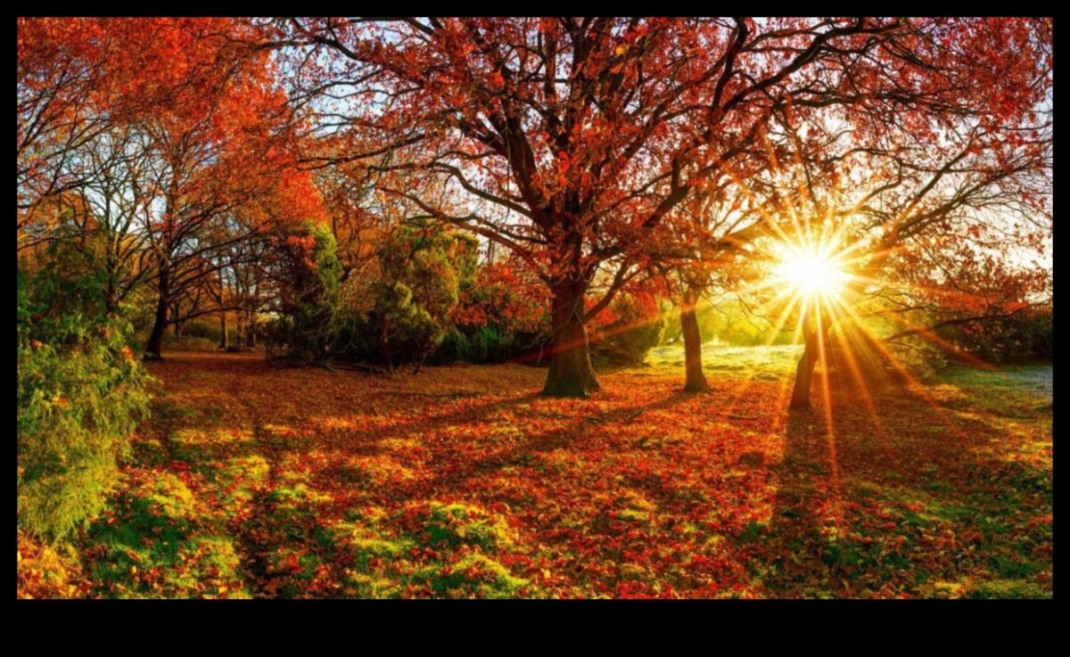 السمفونية الموسمية: جمال البستنة المتغير باستمرار