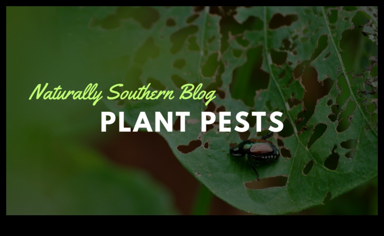 الخضر تحت الحصار؟ إتقان فن مكافحة الآفات