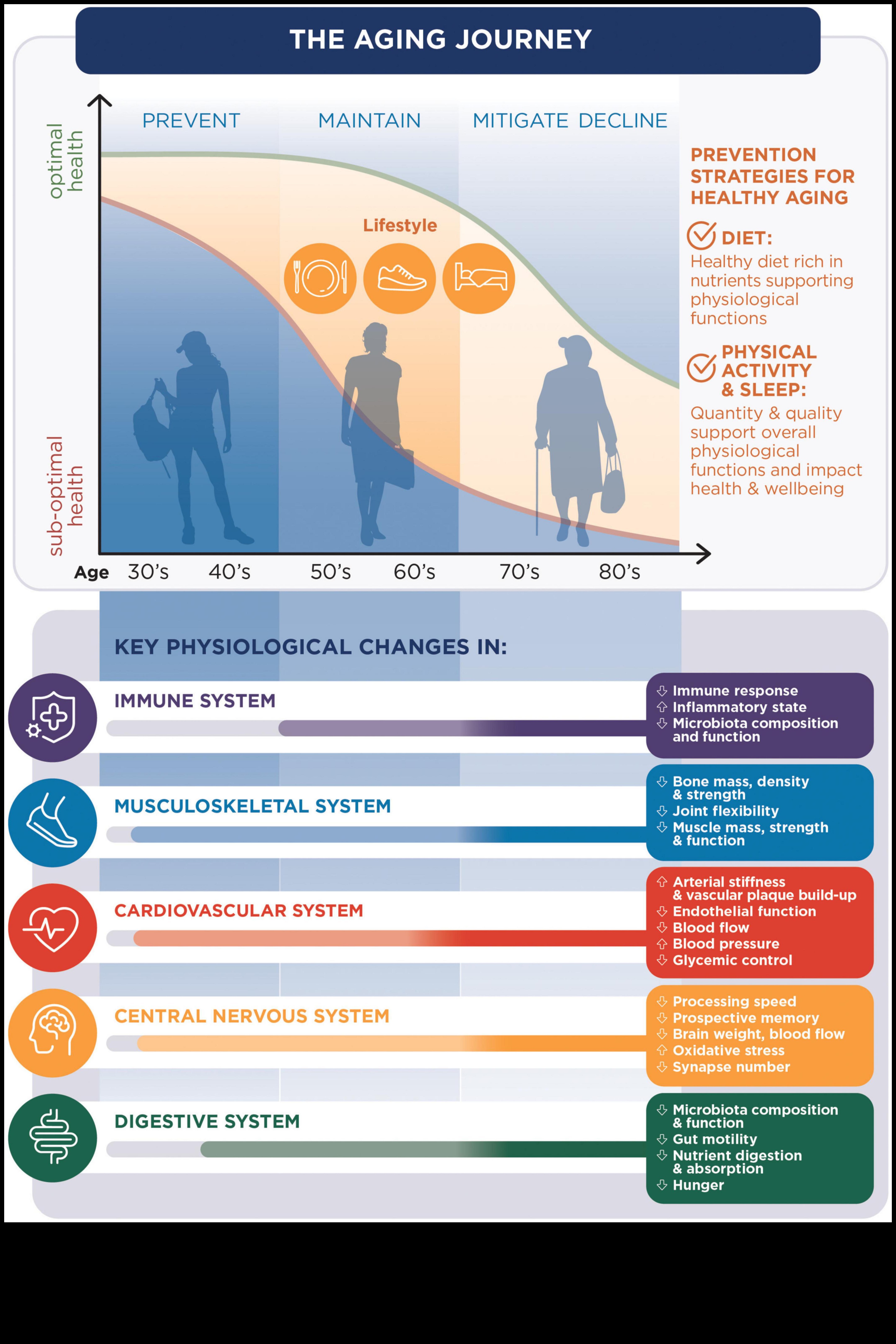 خيارات حكيمة لشيخوخة صحية نصائح غذائية لكبار السن من أجل حياة مليئة بالعافية 2 خيارات حكيمة للشيخوخة الصحية: نصائح غذائية للمسنين