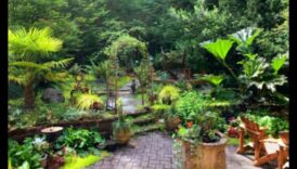 واحة ورشة قطعة الحديقة بقعة لتنمية القدرات والأسلوب 1 واحة ورشة الحديقة: تنمية المهارات والجمال