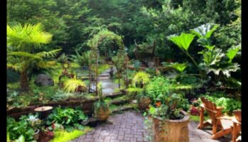 واحة ورشة الحديقة: تنمية المهارات والجمال