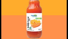 الوئام الاستوائي: استكشاف النوتات المبهجة لضخ الجزر والبرتقال