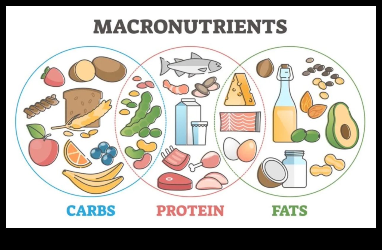 طيف المغذيات الكبيرة النظام الغذائي المتوازن هو قوس قزح للصحة 3 طيف المغذيات الكبيرة: استكشاف ألوان الصحة