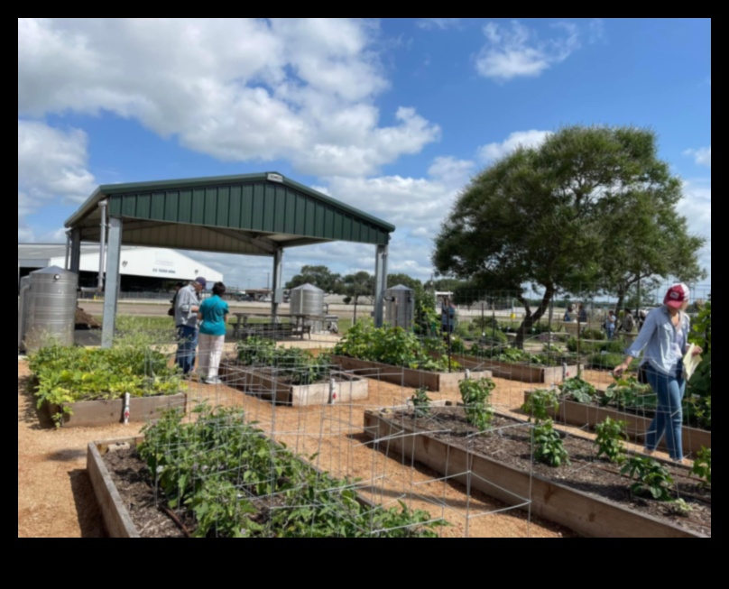 الآفاق البستانية: استكشاف أعماق تعليم الحدائق