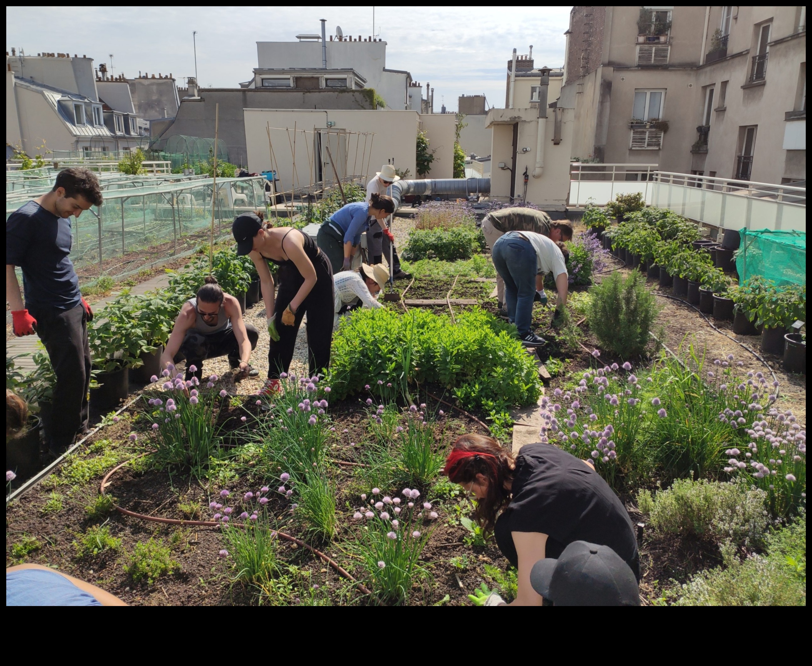 الآفاق البستانية: استكشاف أعماق تعليم الحدائق