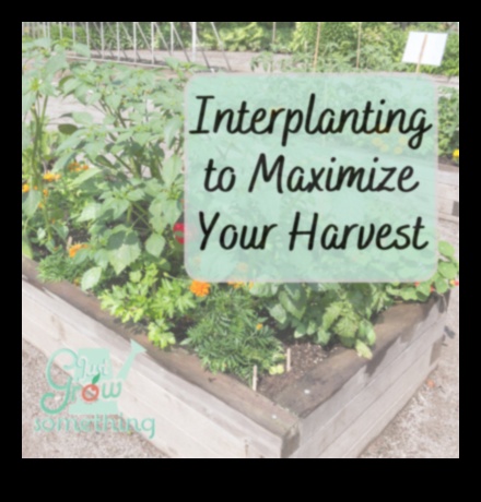 الآفاق البستانية: استكشاف أعماق تعليم الحدائق