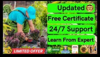 الآفاق البستانية: استكشاف أعماق تعليم الحدائق