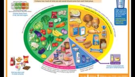 تناول الطعام بشكل جيد، عش بشكل جيد: حجر الزاوية في استشارات التغذية الناجحة