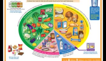 تناول الطعام بشكل جيد، عش بشكل جيد: حجر الزاوية في استشارات التغذية الناجحة
