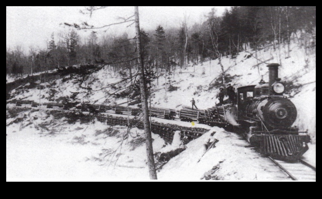 مسارات العربة: استكشاف الشوارع الجذابة على السكك الحديدية