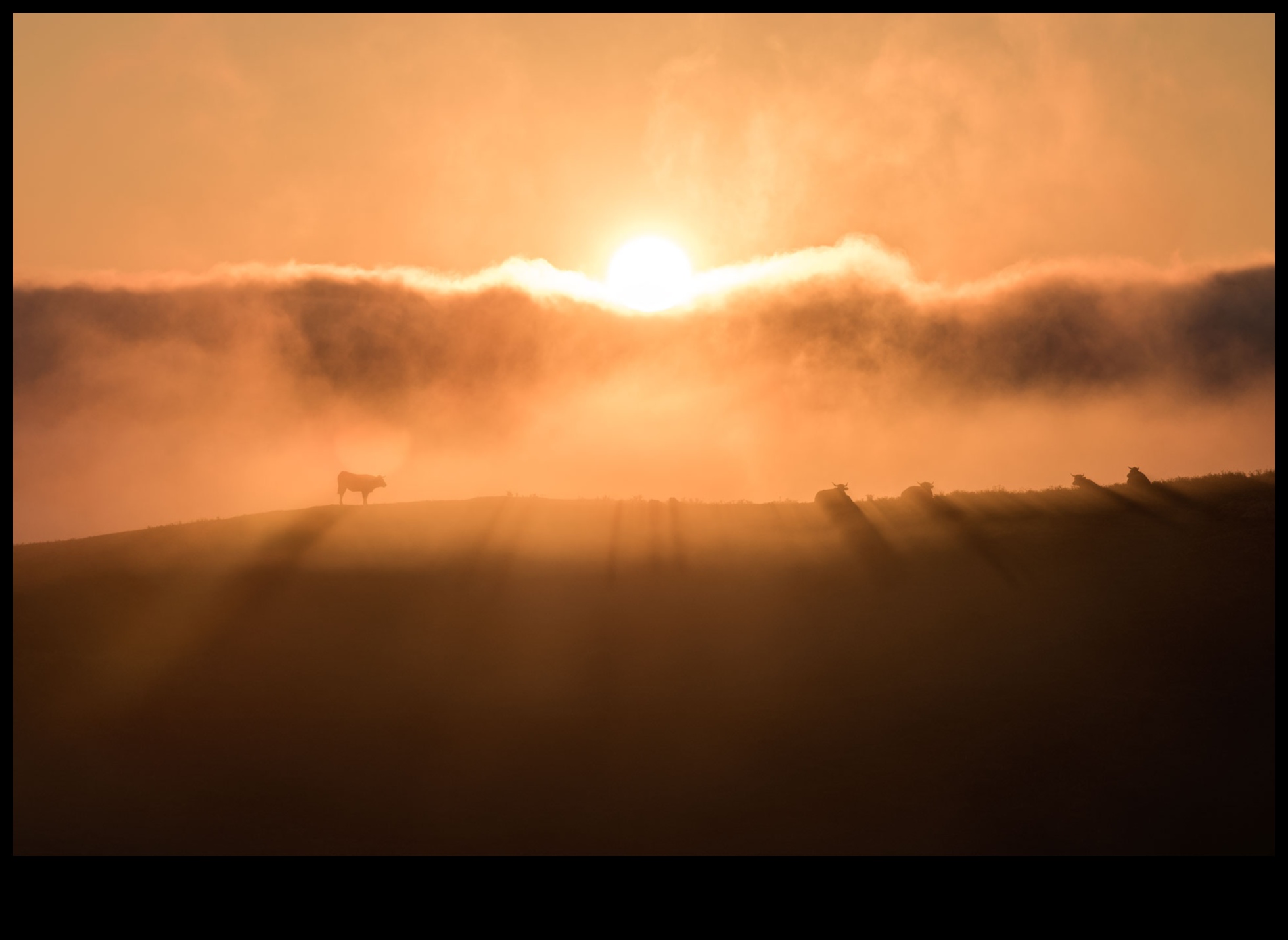 الساعة الذهبية: جلسات غروب الشمس للياقة البدنية في الهواء الطلق