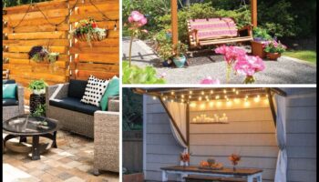 زراعة الجمال: اكتشف الإلهام الفريد لديكور الحديقة