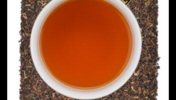 نعيم الصباح: تعزيز يومك مع رشفات الشاي الأخضر المثلج البارد