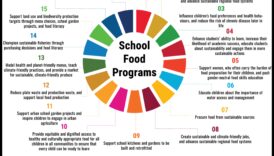 الطبق الشامل: استراتيجيات التغذية الصحية العامة للجميع