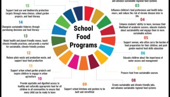 الطبق الشامل: استراتيجيات التغذية الصحية العامة للجميع