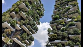 نحت السماء بالحدائق العمودية نظرة حديثة في المناطق الخضراء 2 نحت السماء: جمال البستنة العمودية