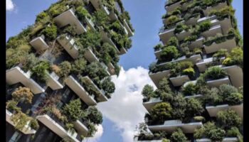 نحت السماء: جمال البستنة العمودية