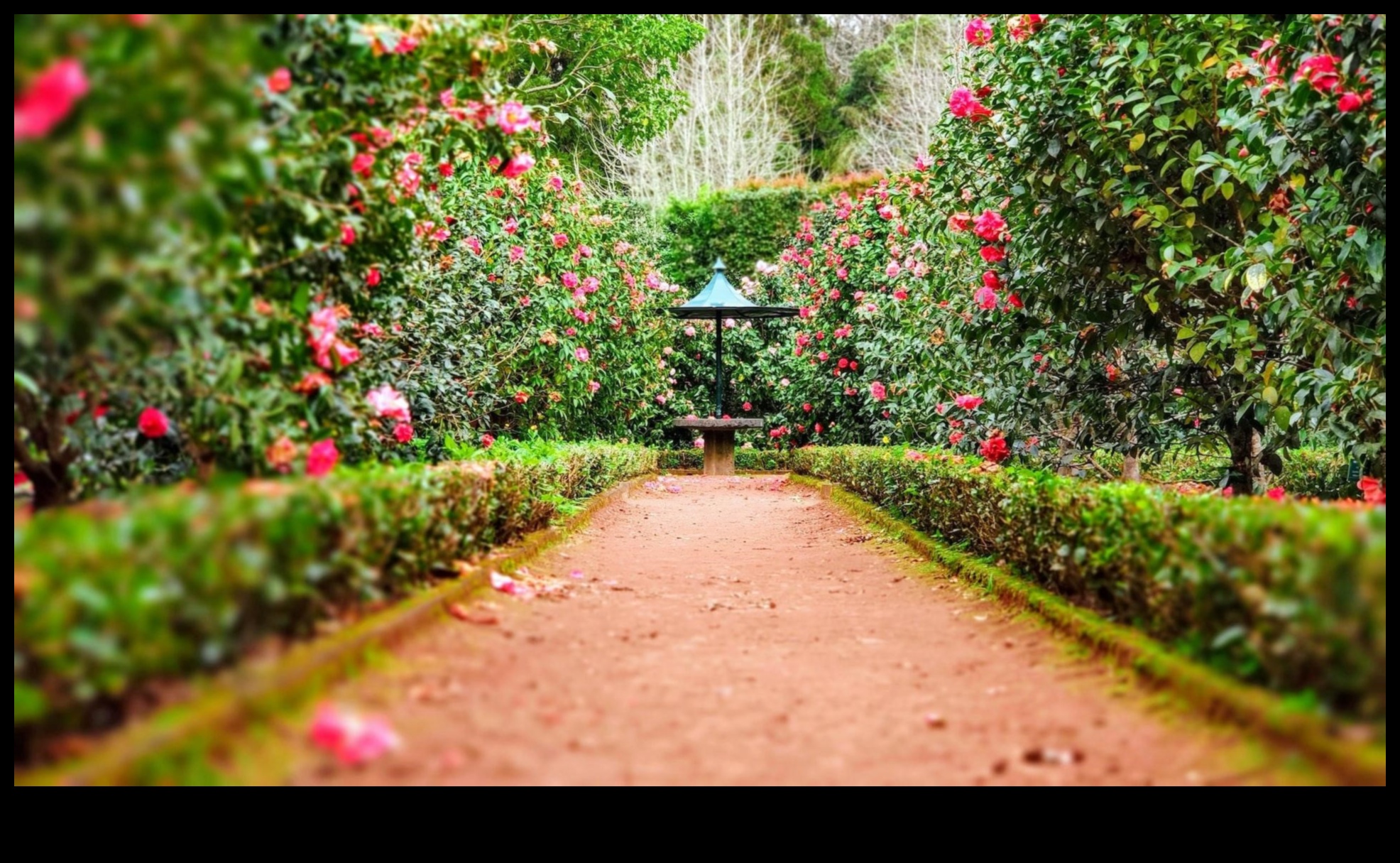 الصفاء المنحوت: ارفع حديقتك بلمسات ديكور أنيقة