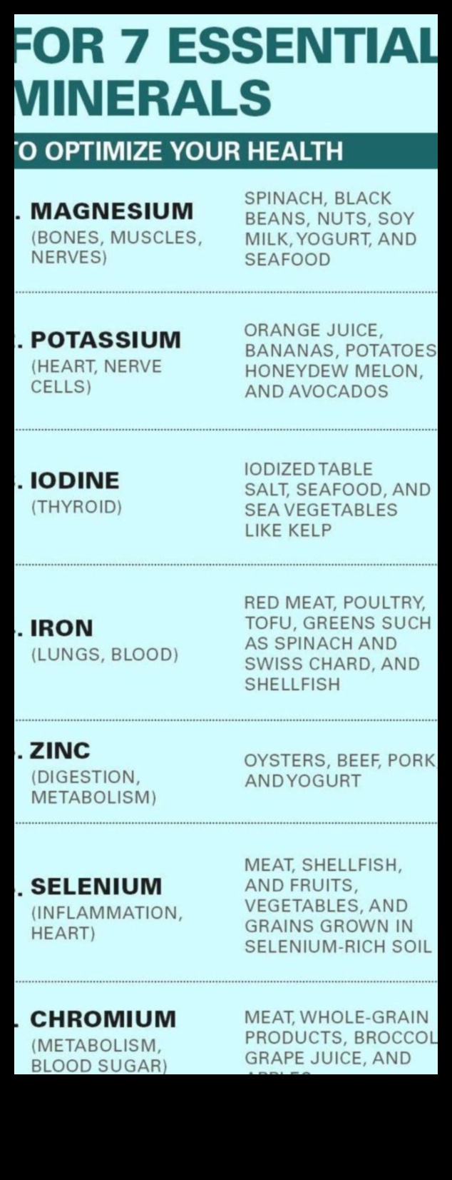 7 أساسيات معدنية لصحة الجسم والعقل والروح 4 الأساسيات المعدنية لجسم مزدهر، العقل، والروح