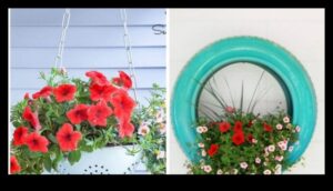 إمكانيات الزراعة: مشاريع DIY لملاذك الخارجي