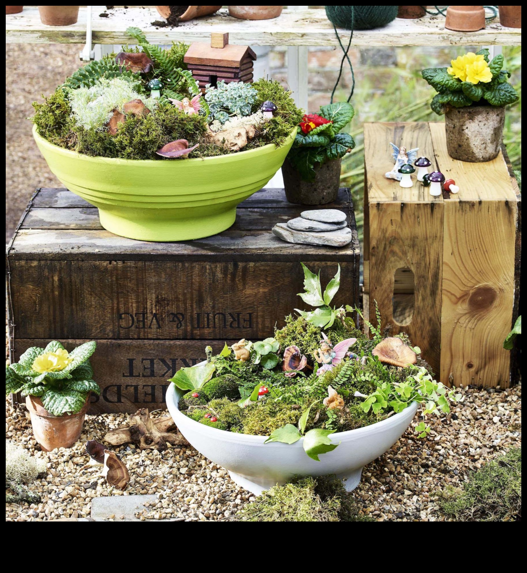 تألق الزهرة: مشاريع إبداعية يمكنك تنفيذها بنفسك لحديقتك