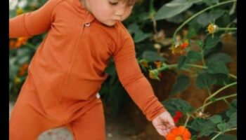 النمو اللطيف: معدات عضوية للصغار