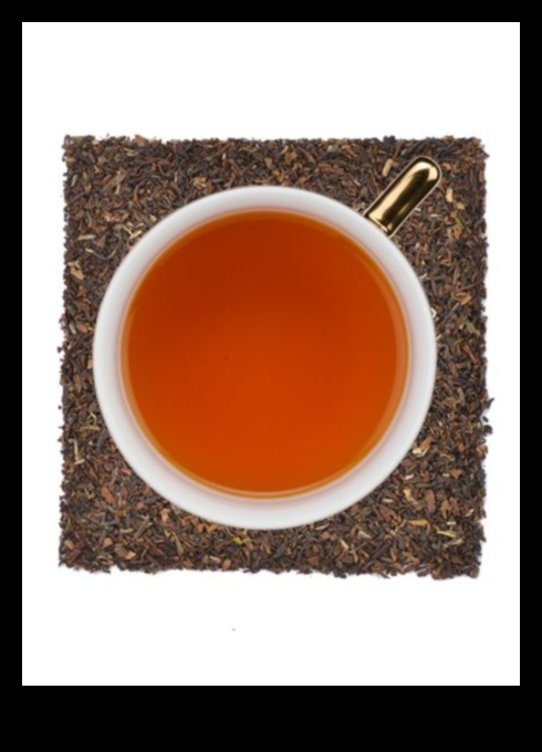 نعيم الصباح: تعزيز يومك مع رشفات الشاي الأخضر المثلج البارد