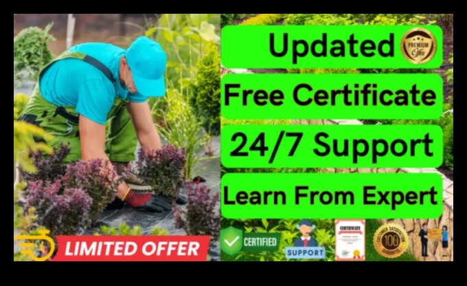 الآفاق البستانية: استكشاف أعماق تعليم الحدائق