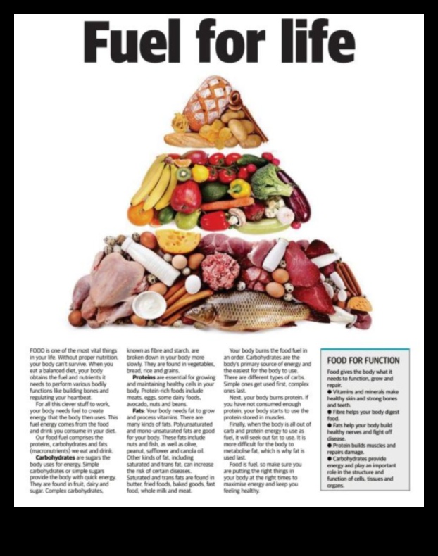 الوقود من أجل الحياة: دور التغذية في طول العمر والحيوية